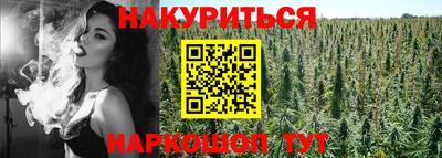 трава Бийск