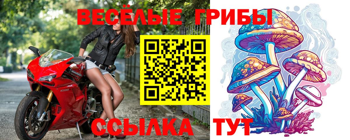 Галлюциногенные грибы GOLDEN TEACHER  купить закладку  Кинель  Вход с VPN 